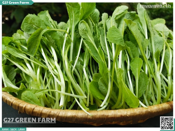 Rau cải xanh con 250g