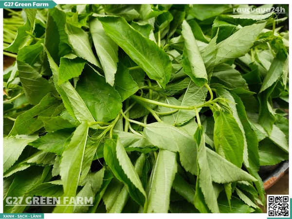 Rau đay trắng 300g