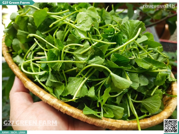 Rau má lá nhỏ (rau má ta) 300g