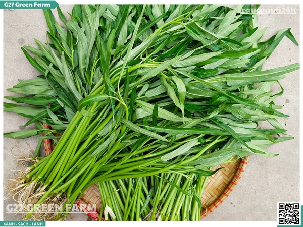 Rau muống hạt 300g