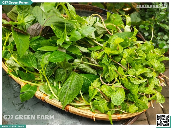 Rau thơm mix (tổng hợp) 100g