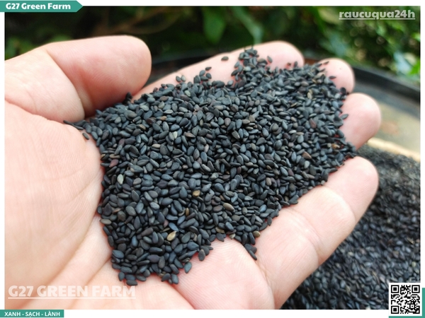 Mè đen (hạt vừng đen)