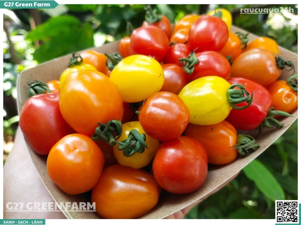 Cà chua cherry táo