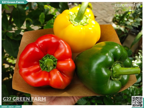 Ớt chuông 3 màu (mix đỏ, vàng, xanh)