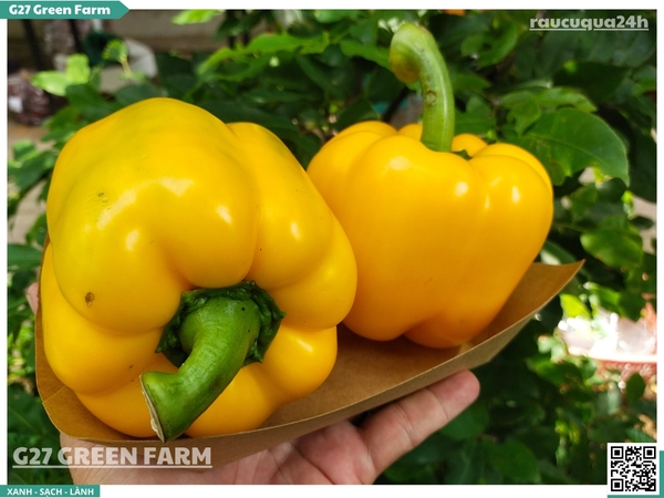 Ớt chuông vàng 150g up