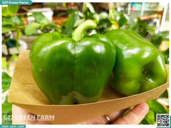 Ớt chuông xanh 150g up
