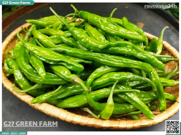 Ớt nhăn Hàn Quốc