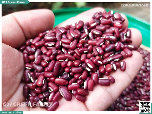 Đậu đỏ khô nhỏ