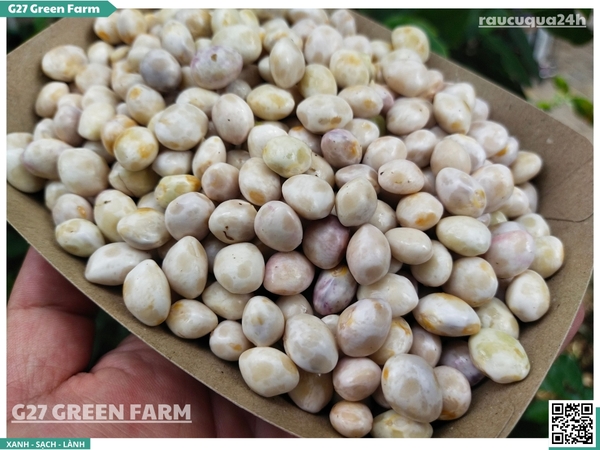 Đậu cúc rằn tươi