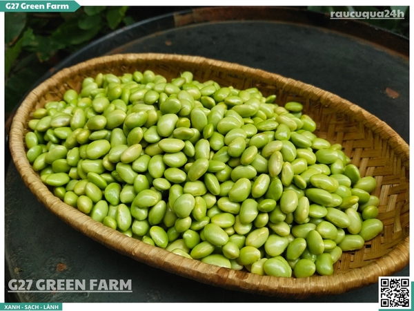 Hạt đậu nành lông Nhật tươi