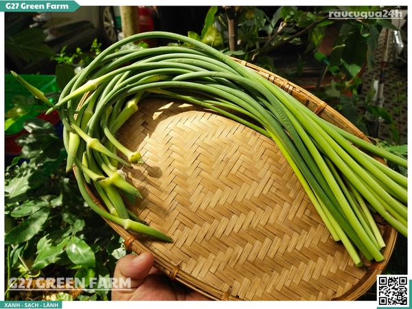 Ngồng tỏi (bông tỏi) 250g