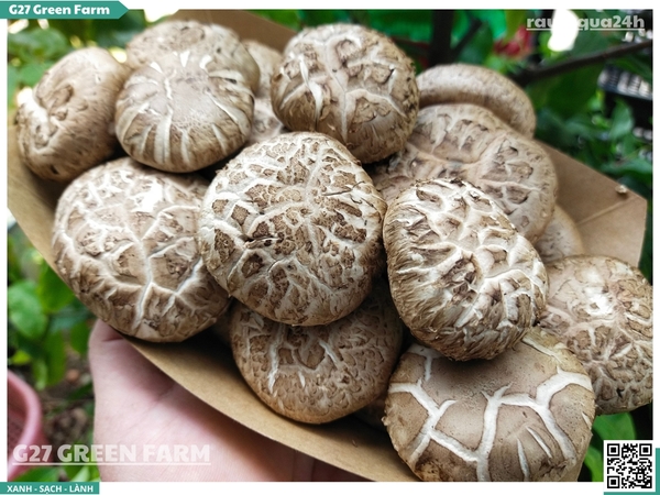 Nấm đông cô tươi