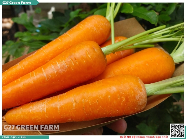 Cà rốt cuống xanh