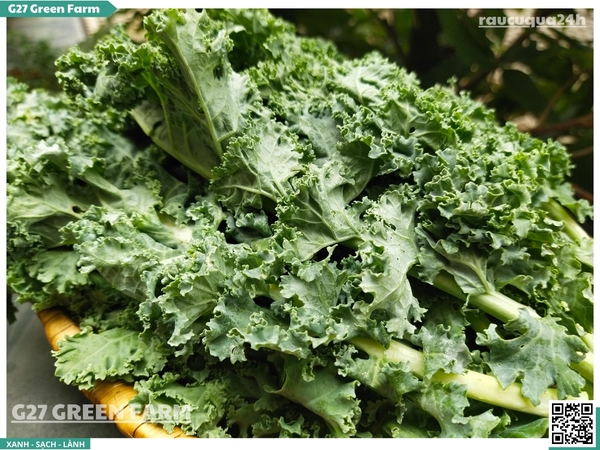 Cải xoăn Kale 300g