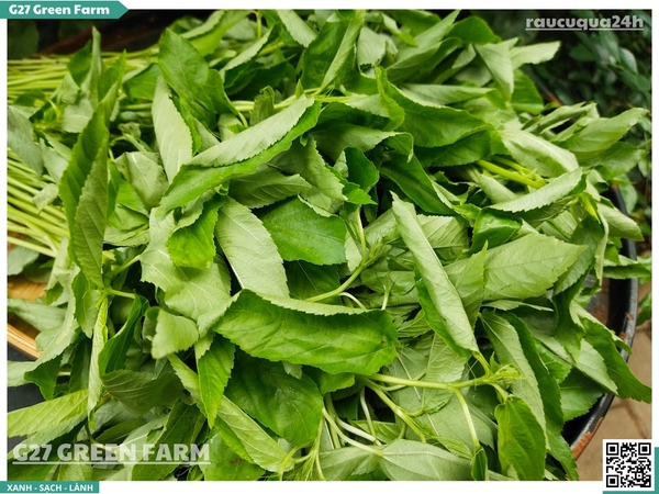 Rau đay trắng 300g