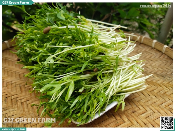 Rau mầm rau muống hạt 150g