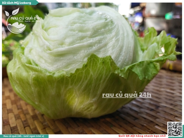 Xà lách Mỹ iceberg