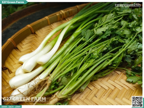 Rau nêm hành ngò 100g