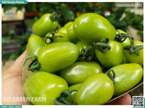 Cà chua cherry ngọc bích