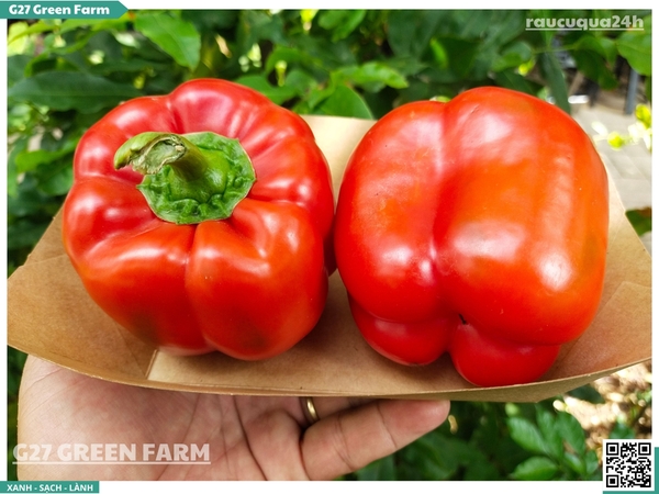 Ớt chuông đỏ 150g up