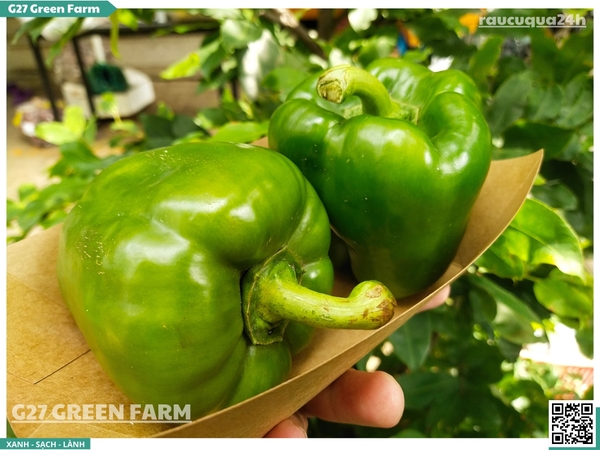 Ớt chuông xanh 150g up