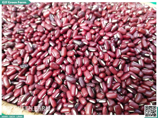 Đậu đỏ khô nhỏ