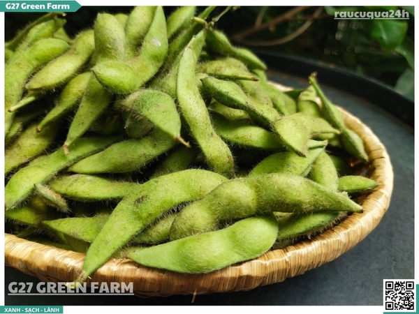 Đậu nành lông Nhật