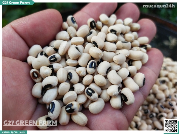 Đậu trắng mắt ngọc khô