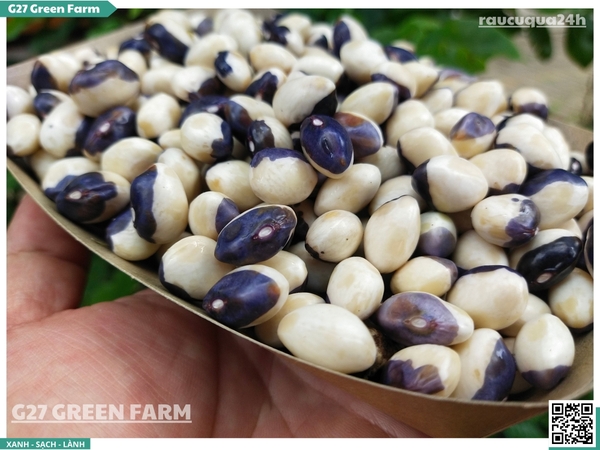 Đậu mắt ngọc tươi