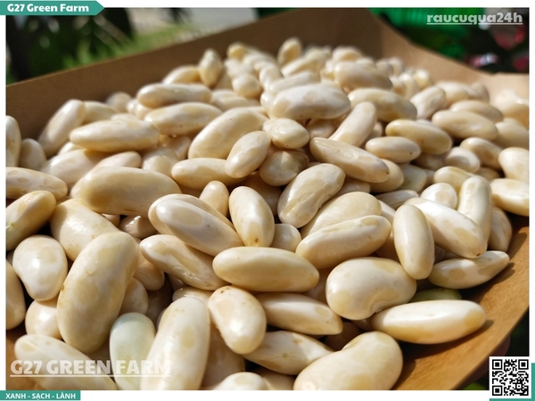 Đậu trắng tươi