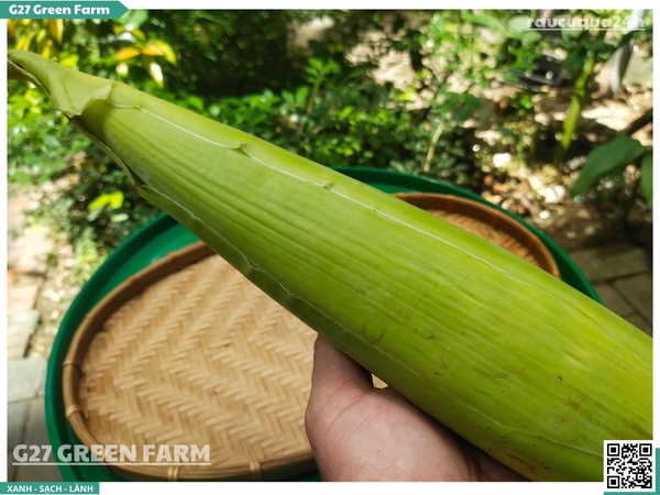 Bắp chuối bao tử (hoa chuối non)