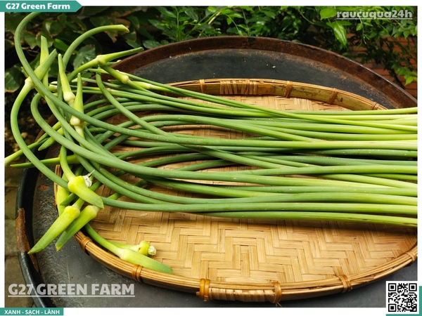 Ngồng tỏi (bông tỏi)