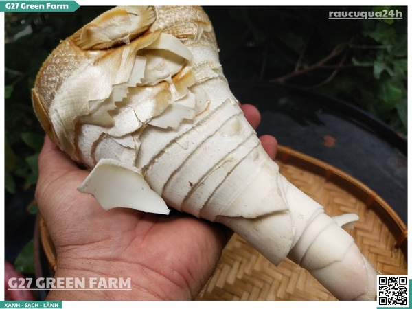 Măng tươi sơ chế