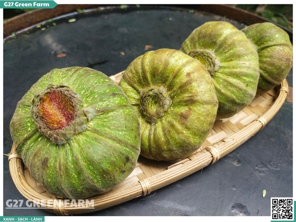 Trái vả