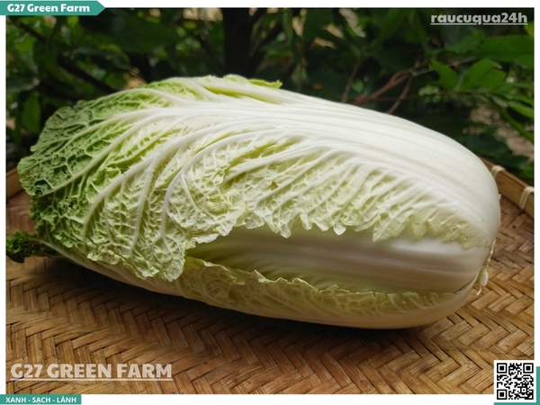 Cải thảo 1 cây 700g up
