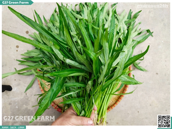 Rau muống hạt 300g