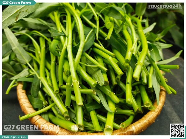 Rau muống nước baby