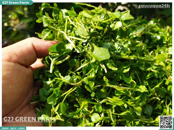 Xà lách xoong nhuyễn 250g