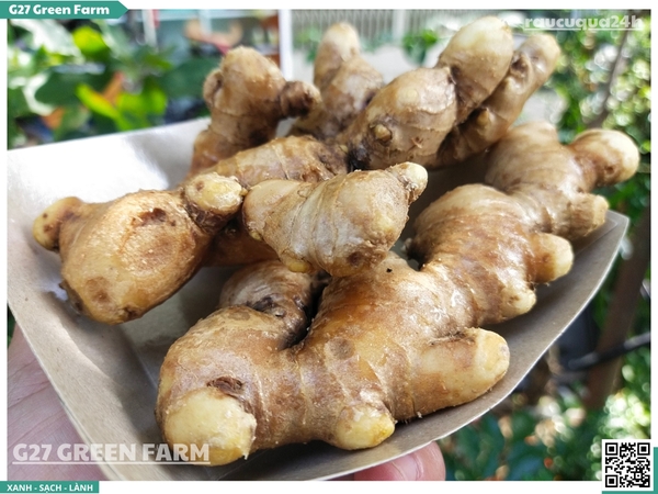 Gừng sẻ (gừng ta)