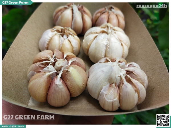 Củ tỏi tép lớn