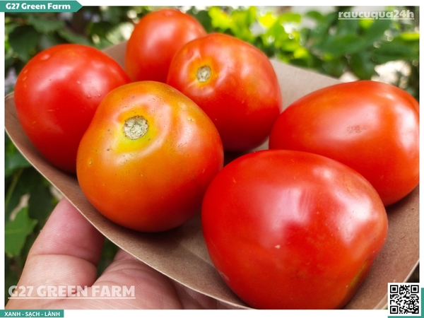 Cà chua rita size 10 - 14 trái /kg