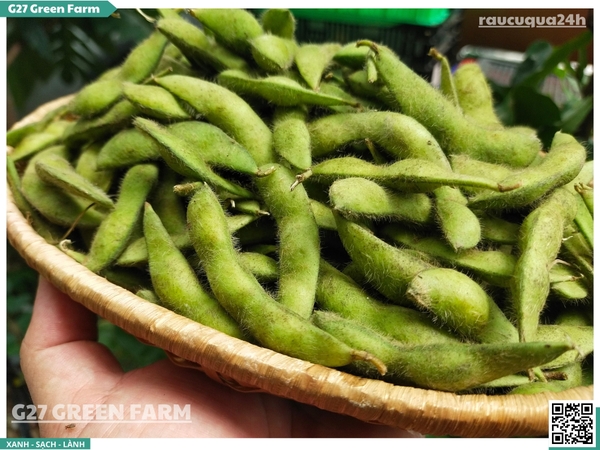 Đậu nành lông Nhật