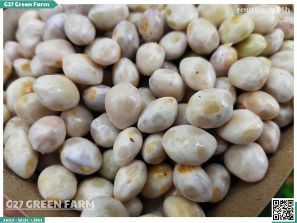 Đậu cúc rằn tươi