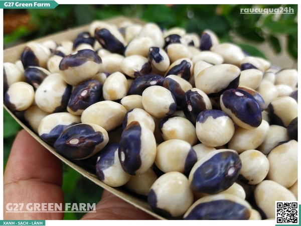 Đậu mắt ngọc tươi