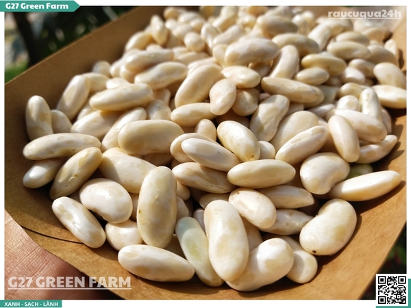 Đậu trắng tươi