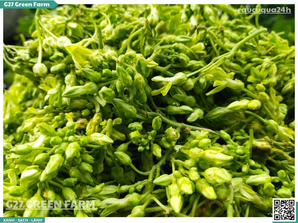 Bông thiên lý 250g