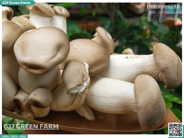 Nấm đùi gà nhỏ 200g