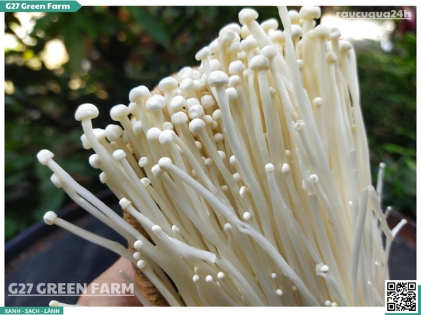 Nấm kim châm 150g