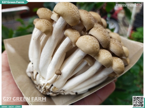 Nấm linh chi nâu 125g