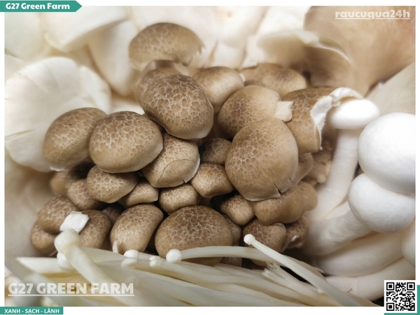 Combo nấm mix (nấm đủ loại)